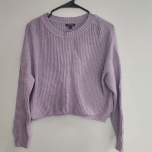 Cropped Wild Fable Sweater